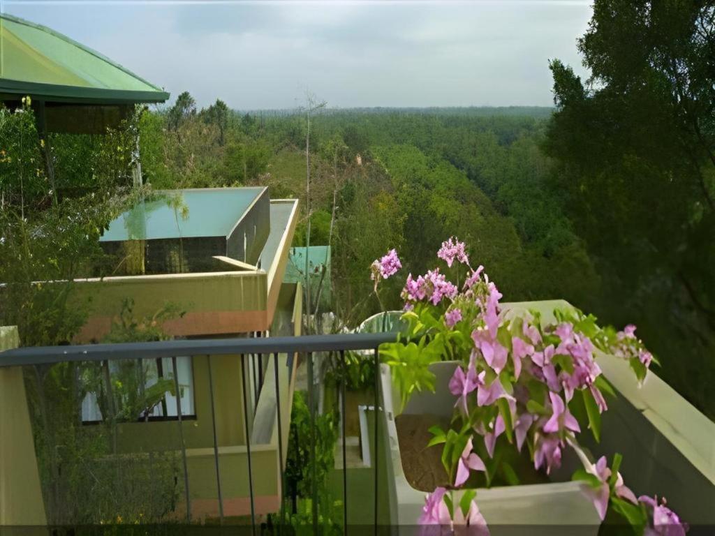 Mangrove Escapes Resort Bentota Buitenkant foto