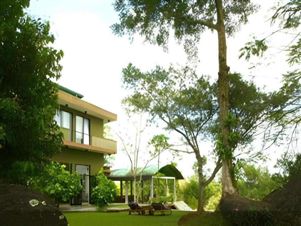 Mangrove Escapes Resort Bentota Buitenkant foto