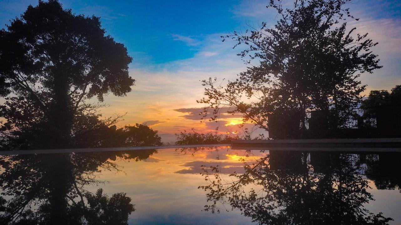 Mangrove Escapes Resort Bentota Buitenkant foto