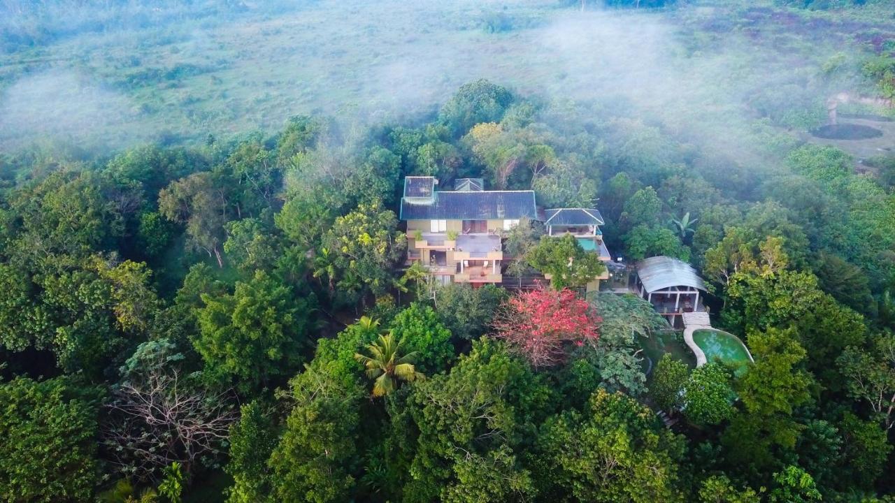 Mangrove Escapes Resort Bentota Buitenkant foto