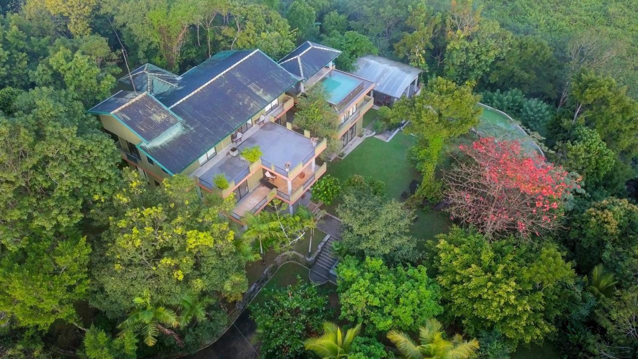 Mangrove Escapes Resort Bentota Buitenkant foto