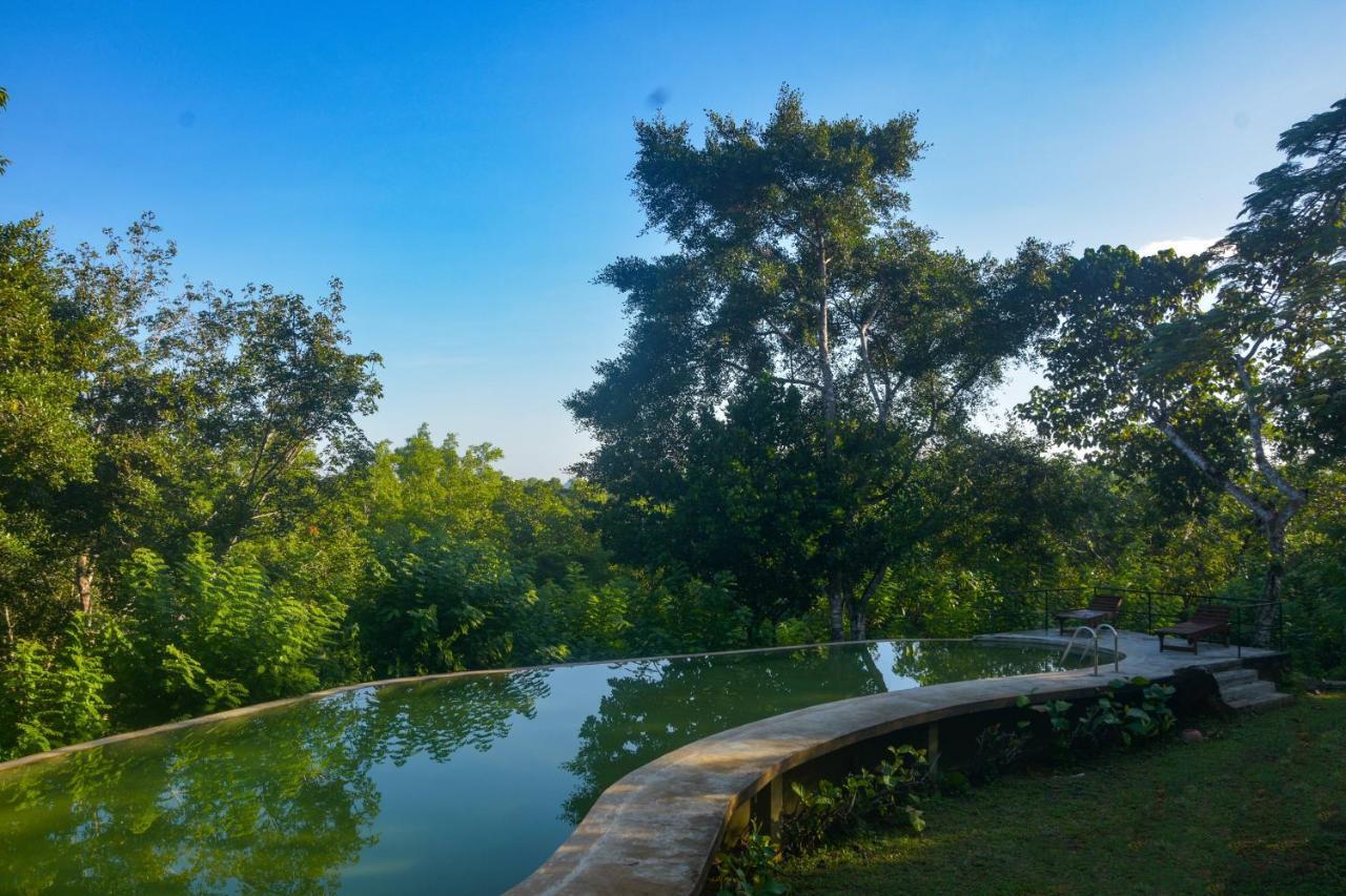 Mangrove Escapes Resort Bentota Buitenkant foto
